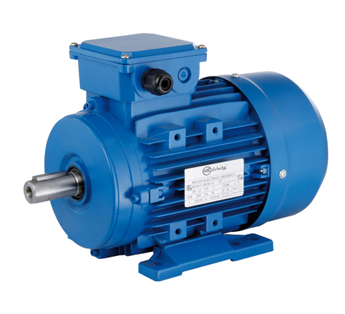 Motor MEC TRIF (Alum) IE1 - IP55 - 3 HP 1000 RPM B3 C112