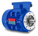 Motor MEC TRIF (Alum) IE1 - IP55 - 0.25 HP 1500 RPM B34 C63
