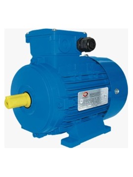 Motor MEC TRIF (Alum) IE1 - IP55 - 1 HP 3000 RPM B3 C80